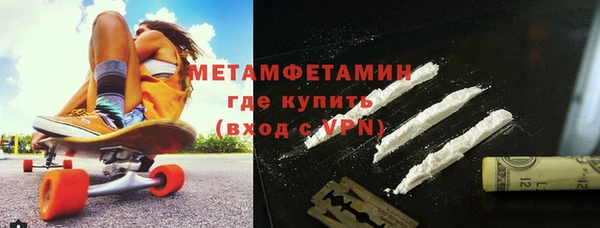 прущие грибы Костерёво
