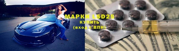 прущие грибы Костерёво