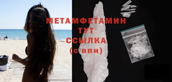 прущие грибы Костерёво