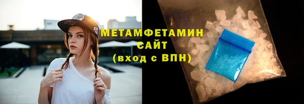 прущие грибы Костерёво