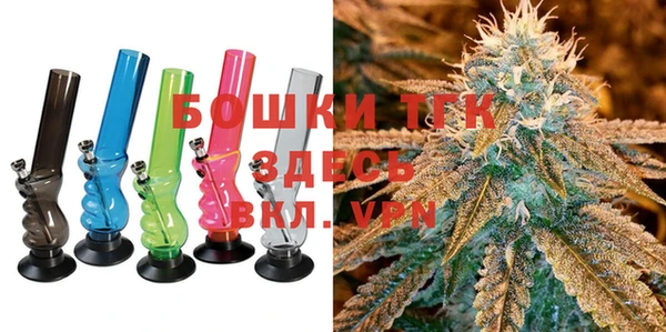 прущие грибы Костерёво