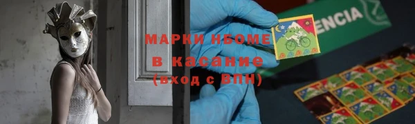 прущие грибы Костерёво