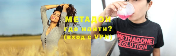 прущие грибы Костерёво