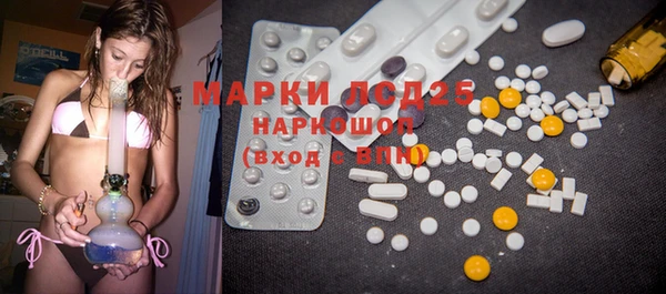 прущие грибы Костерёво