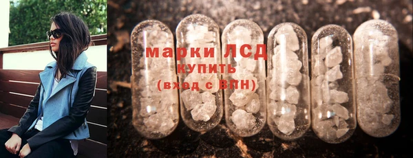прущие грибы Костерёво