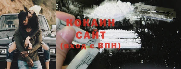прущие грибы Костерёво