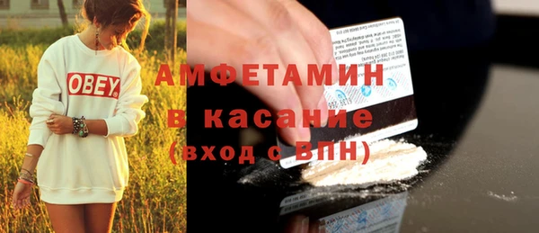 прущие грибы Костерёво